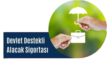 Devlet Destekli Ticari Alacak Sigortası